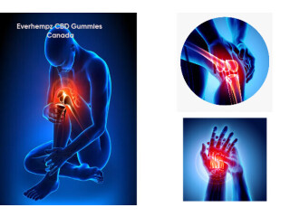 Everhempz CBD Gummies Canada (All Pain Relief) Read About Details!!