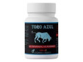 toroazulpastillas-small-0