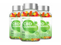rebirth-cbd-me-gummies-on-a-budget-7-tips-from-the-great-depression-small-0