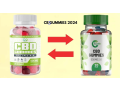 dr-oz-bioheal-cbd-gummies-reviews-consumer-warning-alert-2024-beware-complaints-and-shocking-side-effects-small-0