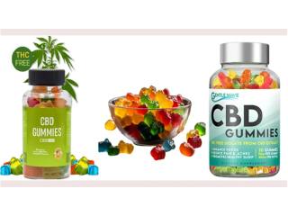 Medallion Green CBD Gummies (Cost 2024) IS Ingredients Scam? | Best Show All Exposed